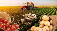 2030-cu ildə Azərbaycanın kənd təsərrüfatı və ərzaq məhsullarının ixracı 6 milyard dollara yüksələcək