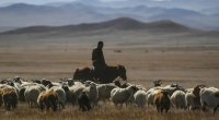Azərbaycanlı çobanın Ermənistana keçməsinin TƏFƏRRÜATI