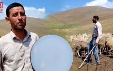 Kəlbəcər yaylaqlarından gələn ecazkar SƏS – Qoyunlara muğam oxuyan Fərailin HEKAYƏSİ – VİDEO