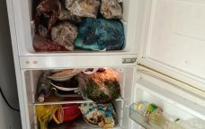 Astaradakı kütləvi zəhərlənmənin SƏBƏBİ BİLİNDİ – FOTO