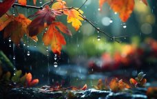 Ölkə ərazisində yağıntılı və küləkli hava davam edir - FAKTİKİ HAVA