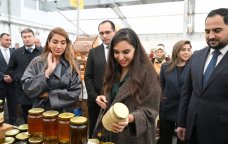 Leyla Əliyeva və Arzu Əliyeva arıçılıq məhsullarının sərgi-satış YARMARKASINDA - FOTO