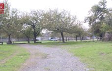 Qaxın Əmbərçay kəndində QIŞ KABUSU – Sakinlər istilik yoxdur deyə, kəndi tərk edir – FOTO