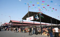 Nar Festivalı belə YADDA QALDI - FOTO