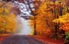 Sabahın hava PROQNOZU