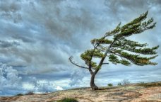 Bölgələrdə külək güclənib - FAKTİKİ HAVA