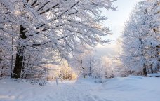 Azərbaycana qış fəslinin daxil olacağı tarix AÇIQLANDI