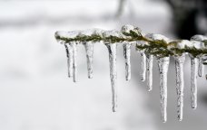 GÜNÜN HAVASI: 10 dərəcə şaxta, duman...