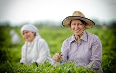 Əkin sahələrində rəqəmsal nəzarət - &ldquo;Made in Azerbaijan&rdquo; brendi əl-əl axtarılacaq