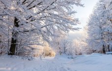 Azərbaycana qış gəldi