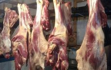 Kiloqramı beş manata idxal olunan ətlər bu sahədə istifadə olunur – SENSASİON AÇIQLAMA