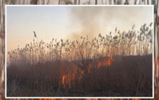 Cəbrayıl və Füzulidəki yanğınlar söndürüldü - VİDEO