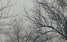 Bu bölgəmizə də qar yağır - FOTO/VİDEO