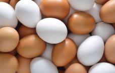 Doğru bildiyimiz YANLIŞ – Qabığı hansı rəngdə olan yumurta daha faydalıdır?