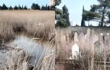 Zabrat qəbiristanlığı baxımsız halda: Sakinlər yaxınlarını ziyarət edə bilmirlər - VİDEO