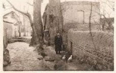 Sovet dövrünün Gəncə əfsanəsi: &ldquo;Dirilən heykəl&rdquo;in SİRRİ