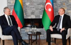 İlham Əliyev litvalı həmkarını təbrik etdi