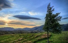 Bakıda və bölgələrdə külək güclənəcək &ndash; XƏBƏRDARLIQ