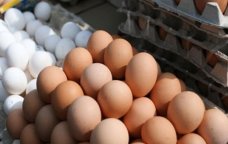Yumurta ucuzlaşacaq - BU TARİXDƏN