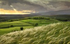 Bu gün Yel çərşənbəsidir