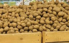 &ldquo;Gədəbəy kartofu&rdquo; adı ilə satılsa da, bu ölkələrdən gətirilir... &ndash; DETALLAR