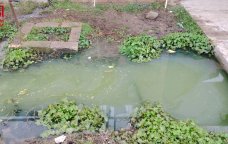 Eyni arxda ölən iki qardaşla bağlı rəsmi qurumdan AÇIQLAMA – “Körpə orada nə gəzirdi?” – VİDEO