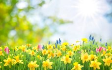 SABAHIN HAVASI - 20 dərəcə isti olacaq