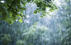 Sabah Azərbaycanın rayonlarına yağış və qar yağacaq - PROQNOZ