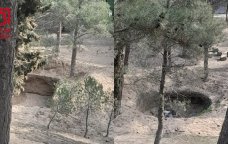 Sumqayıtın Nəsimi parkındakı ağaclar TƏHLÜKƏDƏ – VİDEO