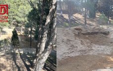 Bizim.Media yazdı &ndash; Sumqayıtda yaşıllıq əraziyə müdaxilənin qarşısı alındı &ndash; FOTO