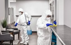 Evləri, ofisləri həşəratlar basıb &ndash; Dezinfeksiya işlərini kim APARMALIDIR?