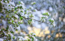 Yağış yağacaq, güclü külək əsəcək &ndash; SABAHIN HAVASI