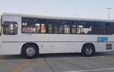 204 nömrəli avtobus sərnişinləri çətin DURUMDA – Sürücülər niyə dayanacaqlarda SAXLAMIR?