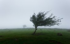 Bu tarixlərdə külək güclənəcək - XƏBƏRDARLIQ