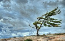 FAKTİKİ HAVA: Bakıda küləyin sürəti güclənir