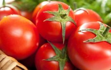 Dadsız, rəngsiz POMİDORLAR - Süfrəmizə keyfiyyətsiz məhsulu kim gətirir? &ndash; ARAŞDIRMA