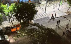 TƏCİLİ! Bakıda güclü külək ağacı avtomobilin üzərinə AŞIRDI &ndash; FOTO/VİDEO