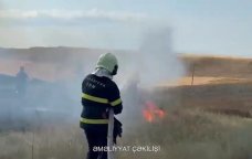 Qazaxın Aslanlı kəndində taxıl sahəsində yanğın oldu - VİDEO