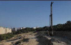 Şərurlu İsfəndiyarın şirkəti Sumqayıtda kütləvi ağac kəsimi QALMAQALINDA &ndash; VİDEO
