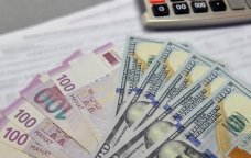 Manatın gələcəyi ilə bağlı nikbin PROQNOZ - Dollar alanların sayı kəskin azalıb