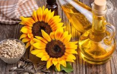 Zərəri vitaminindən çoxdur &ndash; Soyuq sıxım günəbaxan yağlarındakı GİZLİ TƏHLÜKƏ