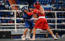 2 boksçumuz Avropa çempionatında 1/4 finala yüksəldi - FOTO