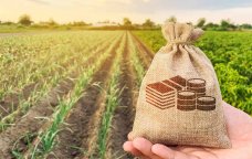 Aqrar sahədə YENİLİK – Məhsul şəhadətnaməsi tətbiq olunacaq – DETALLAR
