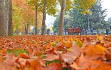 Oktyabrda hava necə olacaq? &ndash; AYLIQ PROQNOZ