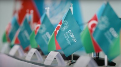 COP29-da turizmdə iqlim fəaliyyətinin təkmilləşdirilməsi üçün gələcək addımlar müzakirə olundu