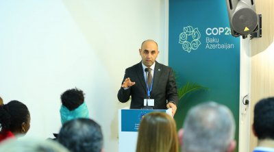 COP29-da Ermənistanın ərazilərimizdə törətdiyi ekosiddən bəhs edən sənədli filmin təqdimatı olub - FOTO