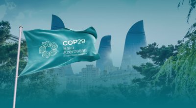 COP29-da 300 milyard dolların təsdiqləndiyi an - VİDEO