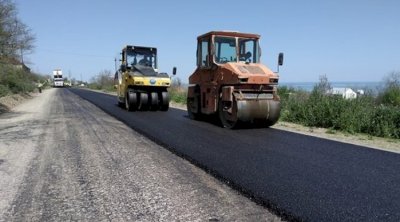 Bakıda yeni yol salınır: 1650 ağac ərazidən köçürüləcək - VİDEO