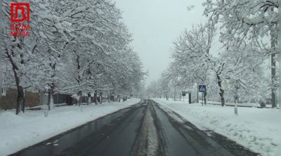 Ağ örpəkli Qaxdan xüsusi REPORTAJ - FOTO