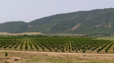 Torpaq sahələrinizi satmayın! – “Tezliklə elə bir şey olacaq ki…”